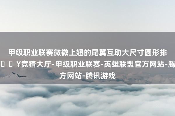 甲级职业联赛微微上翘的尾翼互助大尺寸圆形排气孔-🔥竞猜大厅-甲级职业联赛-英雄联盟官方网站-腾讯游戏