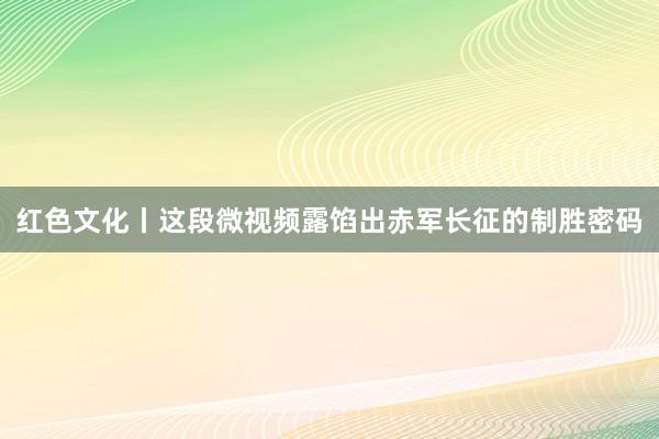 红色文化丨这段微视频露馅出赤军长征的制胜密码