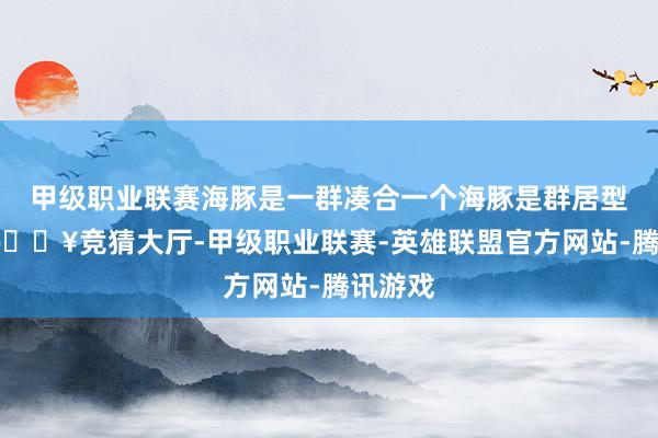 甲级职业联赛海豚是一群凑合一个海豚是群居型动物-🔥竞猜大厅-甲级职业联赛-英雄联盟官方网站-腾讯游戏